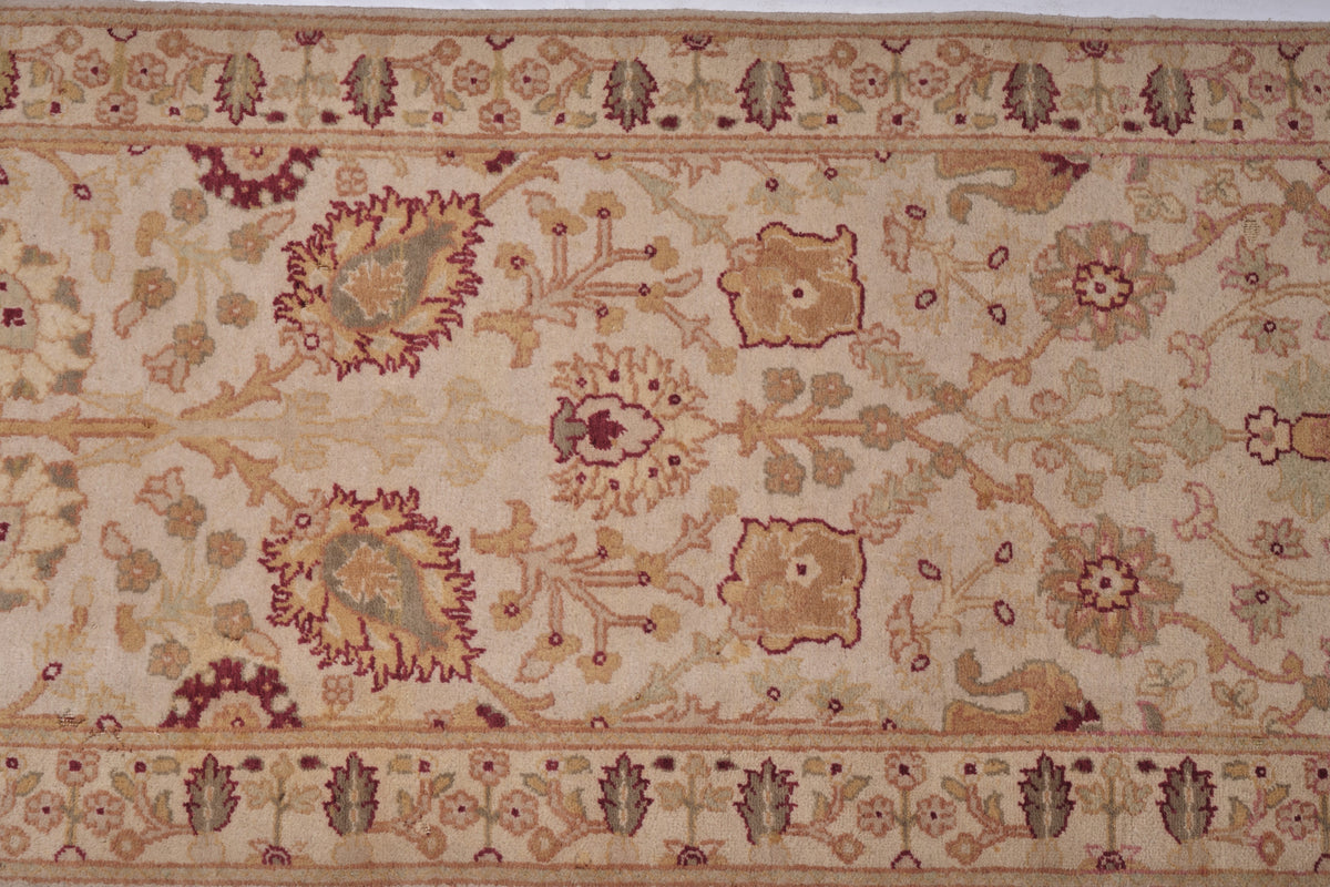 40027 Indo-Agra Runner