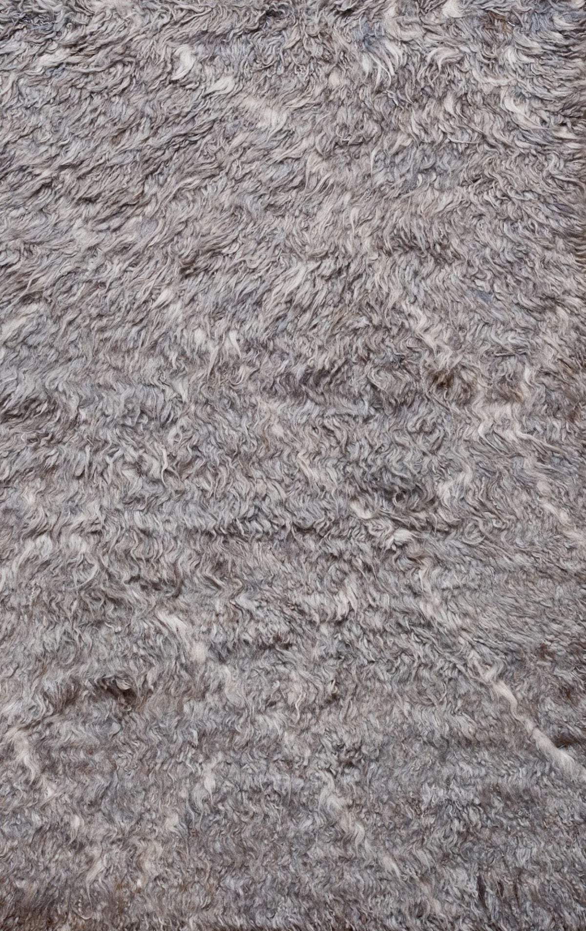 MC 04