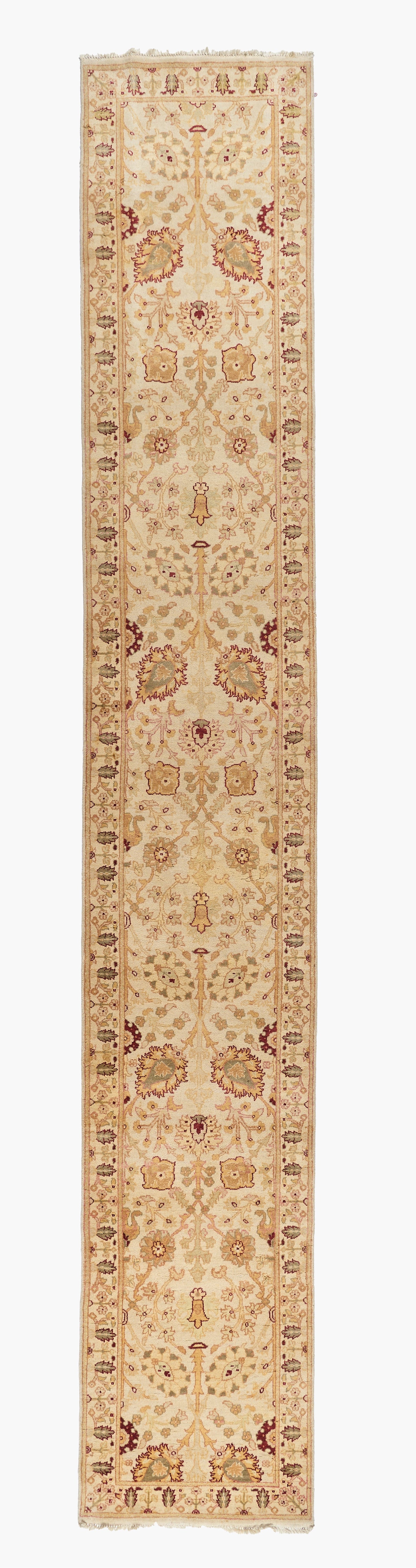 40027 Indo-Agra Runner