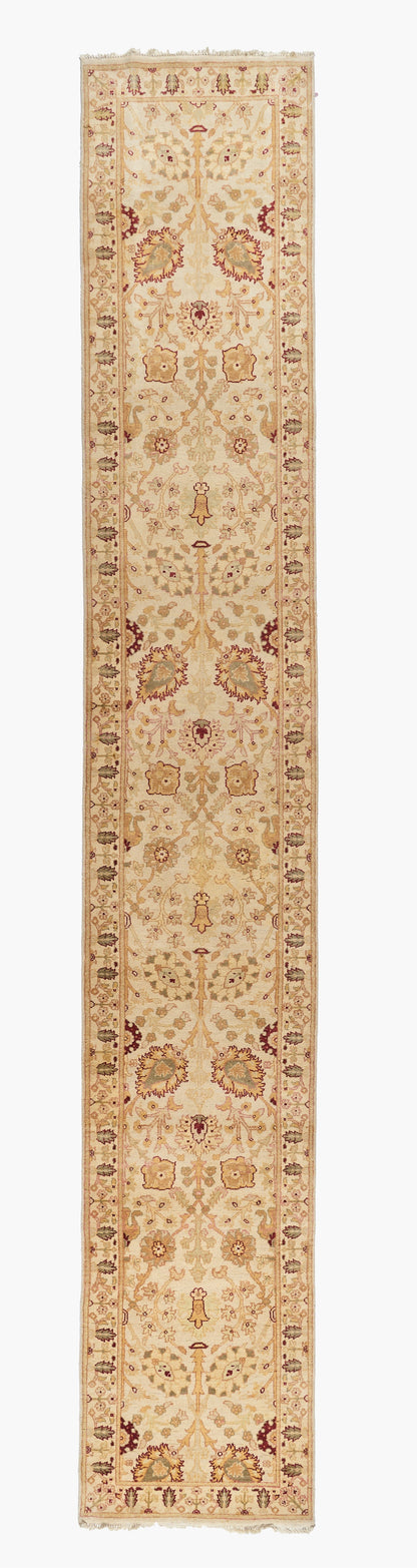 40027 Indo-Agra Runner