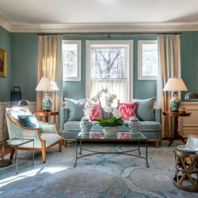 Room Setting Transitional Rug