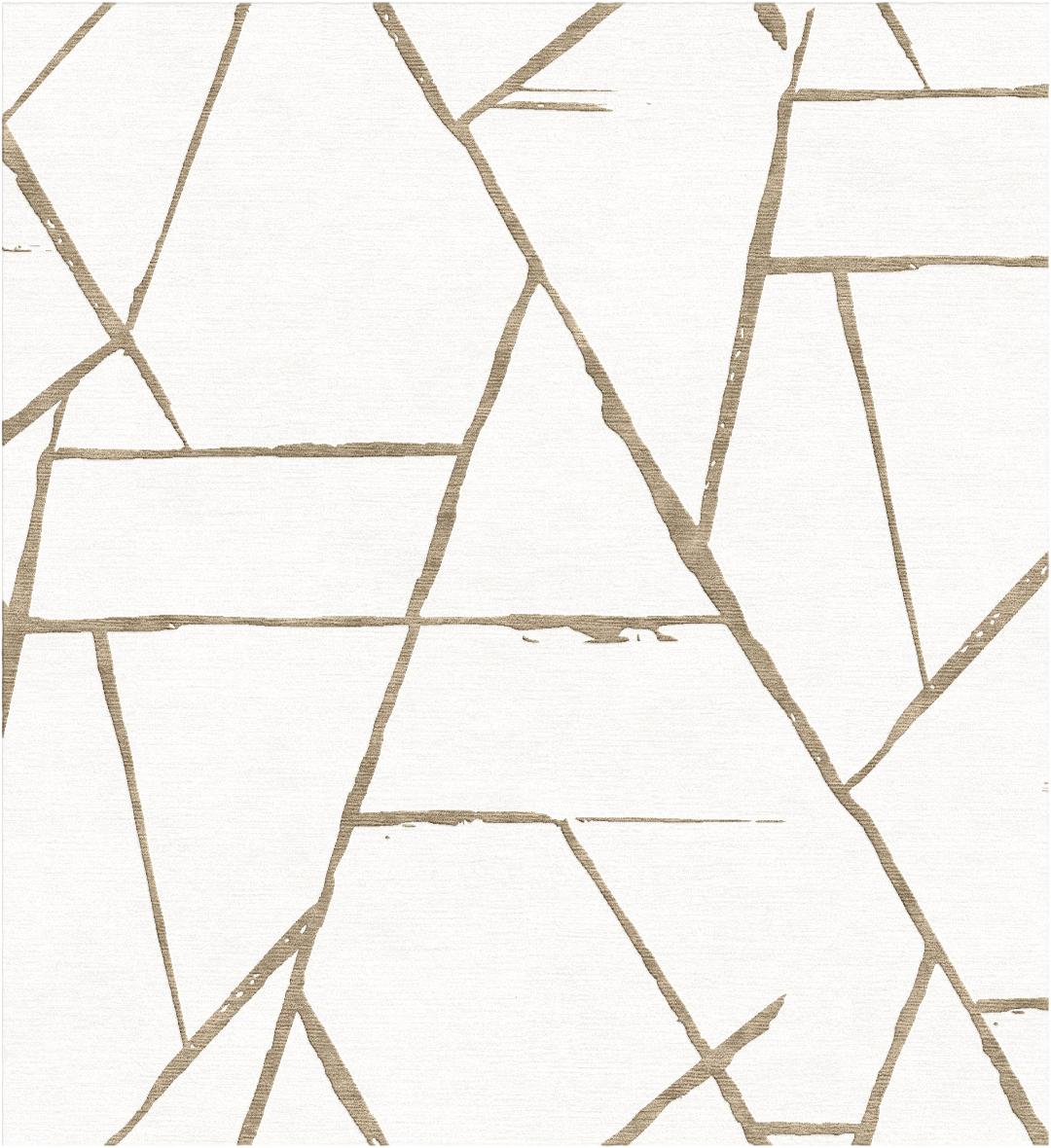 S21 18897