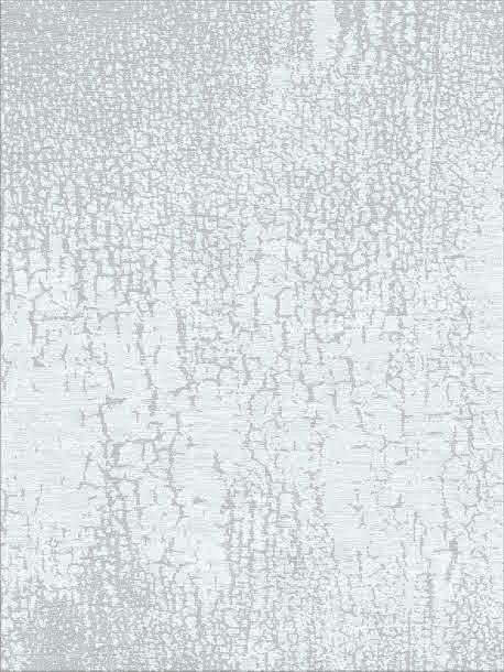 TIB 587